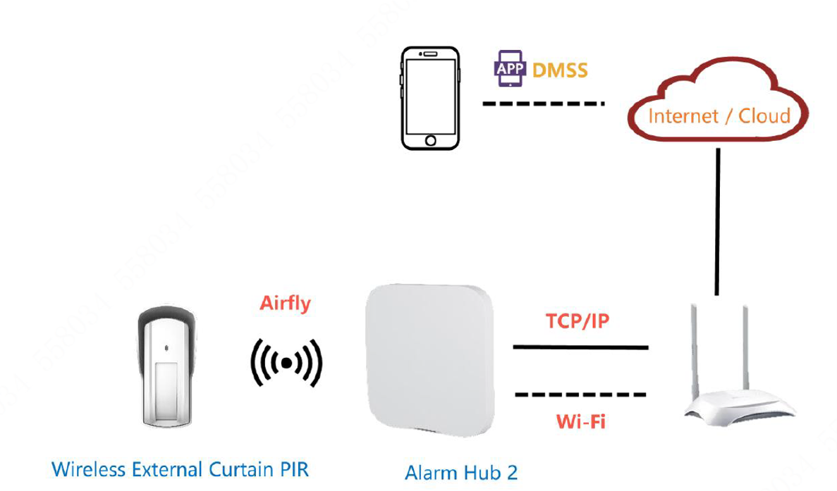 topology.png?ts=1788855128