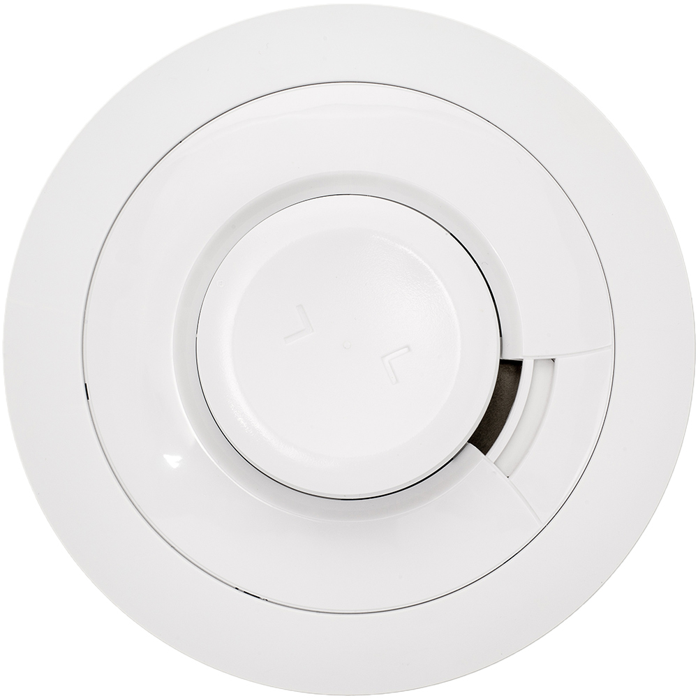 Untertasse, Kunst, Porzellan, Töpferei, Teller