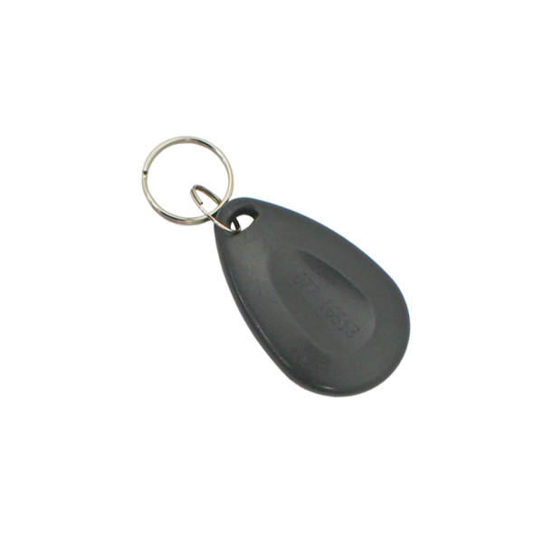 Schlüsselanhänger RFID 125kHz für AXP-Serie